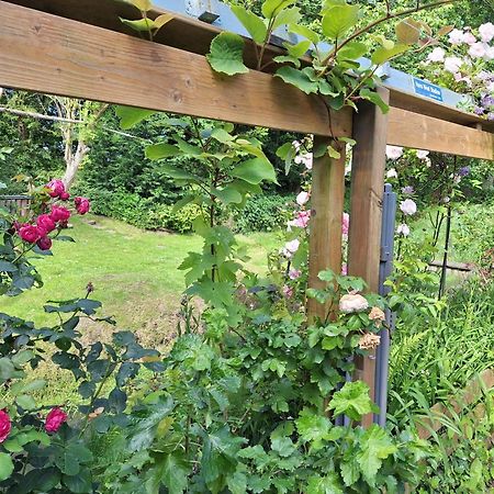 Klein Heemshof - Noord Holland Aan Uw Voeten Warmenhuizen Bagian luar foto