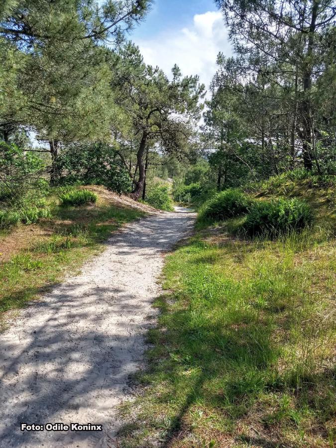 Klein Heemshof - Noord Holland Aan Uw Voeten Warmenhuizen Bagian luar foto