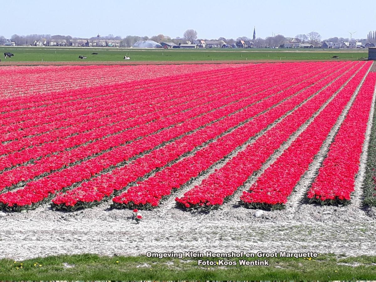 Klein Heemshof - Noord Holland Aan Uw Voeten Villa Warmenhuizen Bagian luar foto