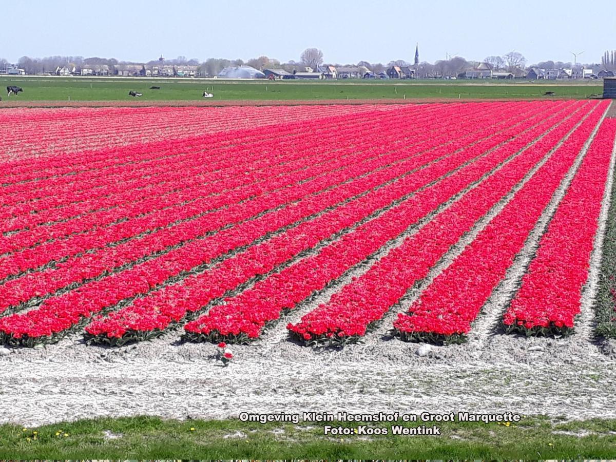 Klein Heemshof - Noord Holland Aan Uw Voeten Warmenhuizen Bagian luar foto
