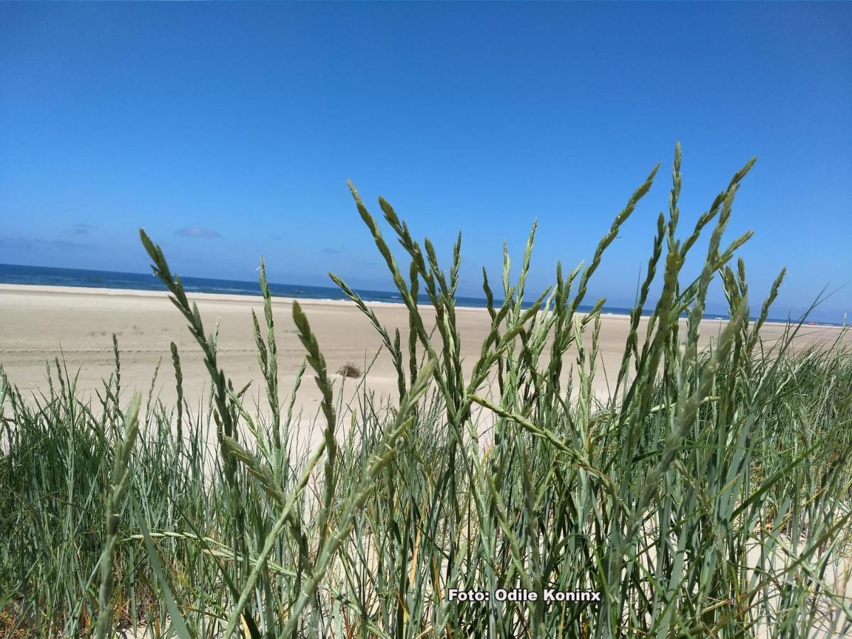 Klein Heemshof - Noord Holland Aan Uw Voeten Villa Warmenhuizen Bagian luar foto